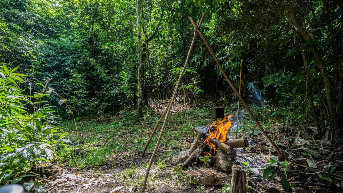 Underrated Streaming Survival Series Reviews Guide